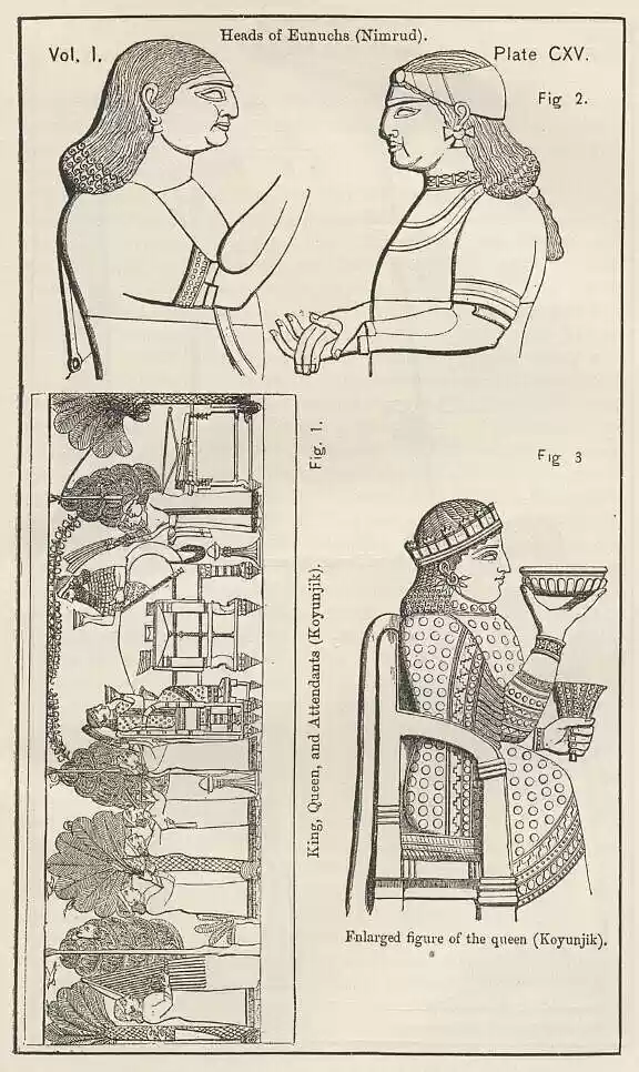 plate115